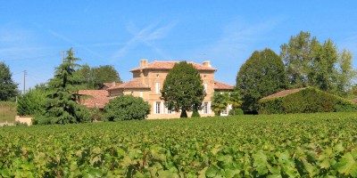 Domaine et vignes au Château d'Arvouet, producteur de Vin