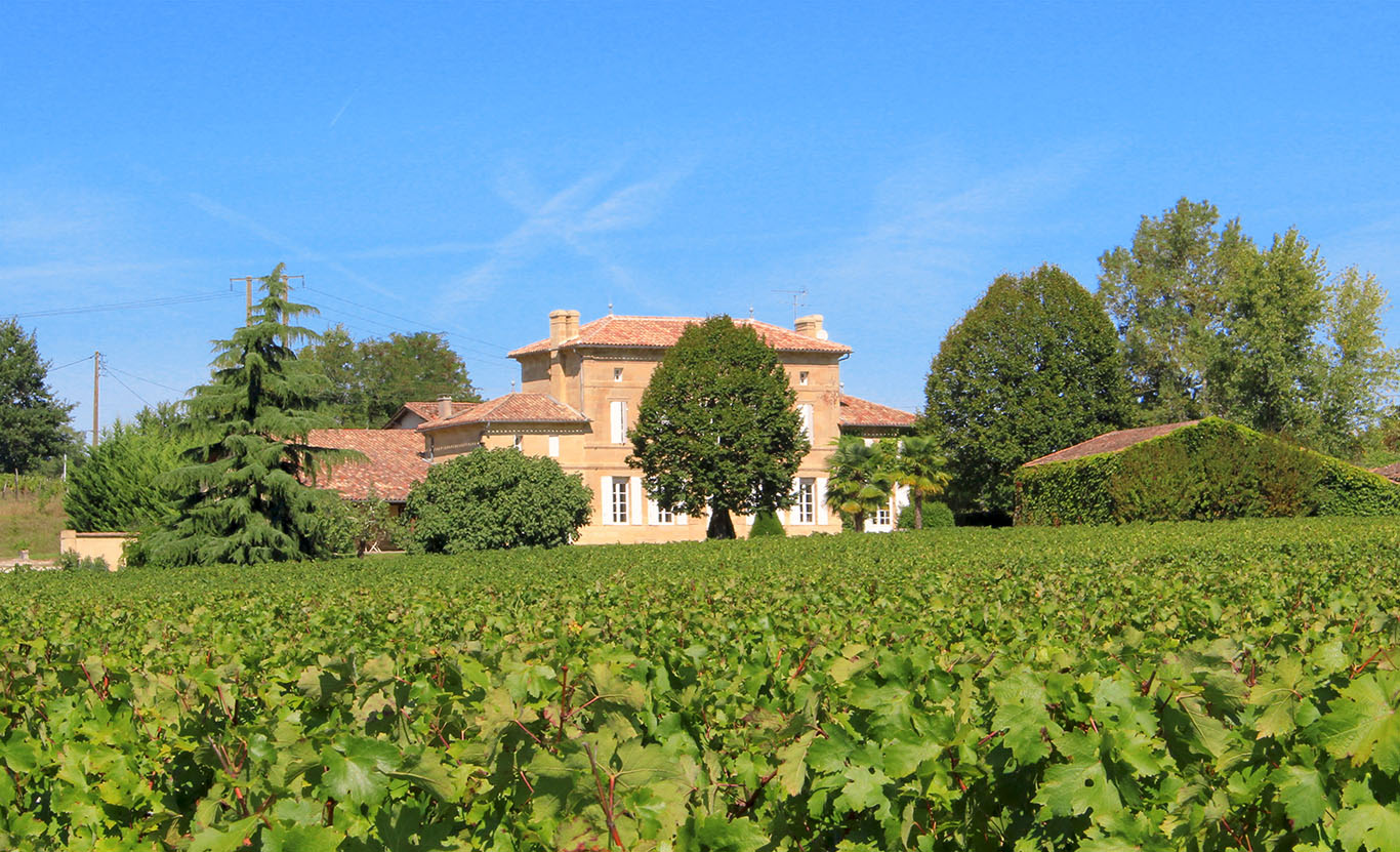 Domaine et vignes au Château d'Arvouet, producteur de Vin