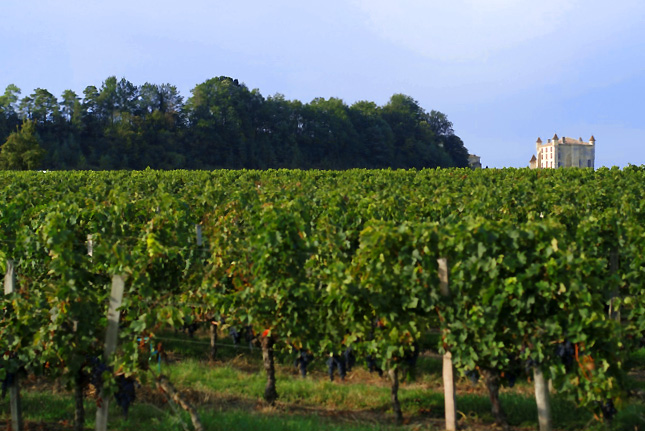 Domaine Vieux Château Bayard Saint Emilion